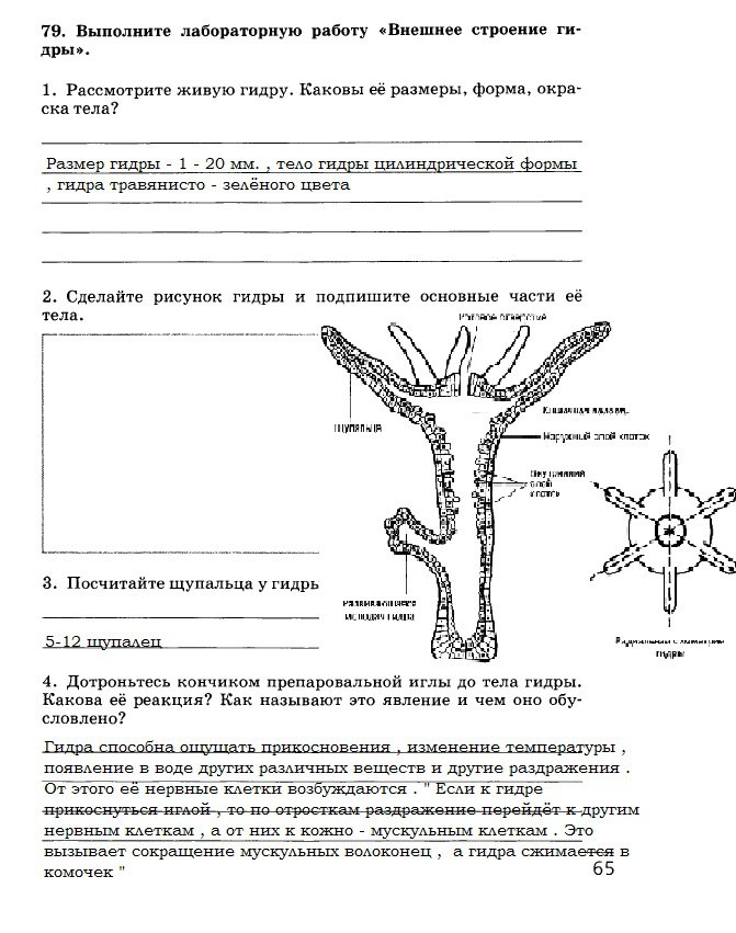 Кракен портал