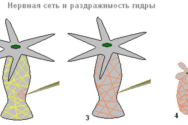 Почему не работает кракен сегодня